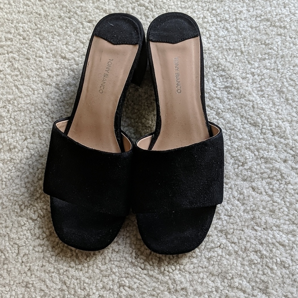 Tony Bianco Slides